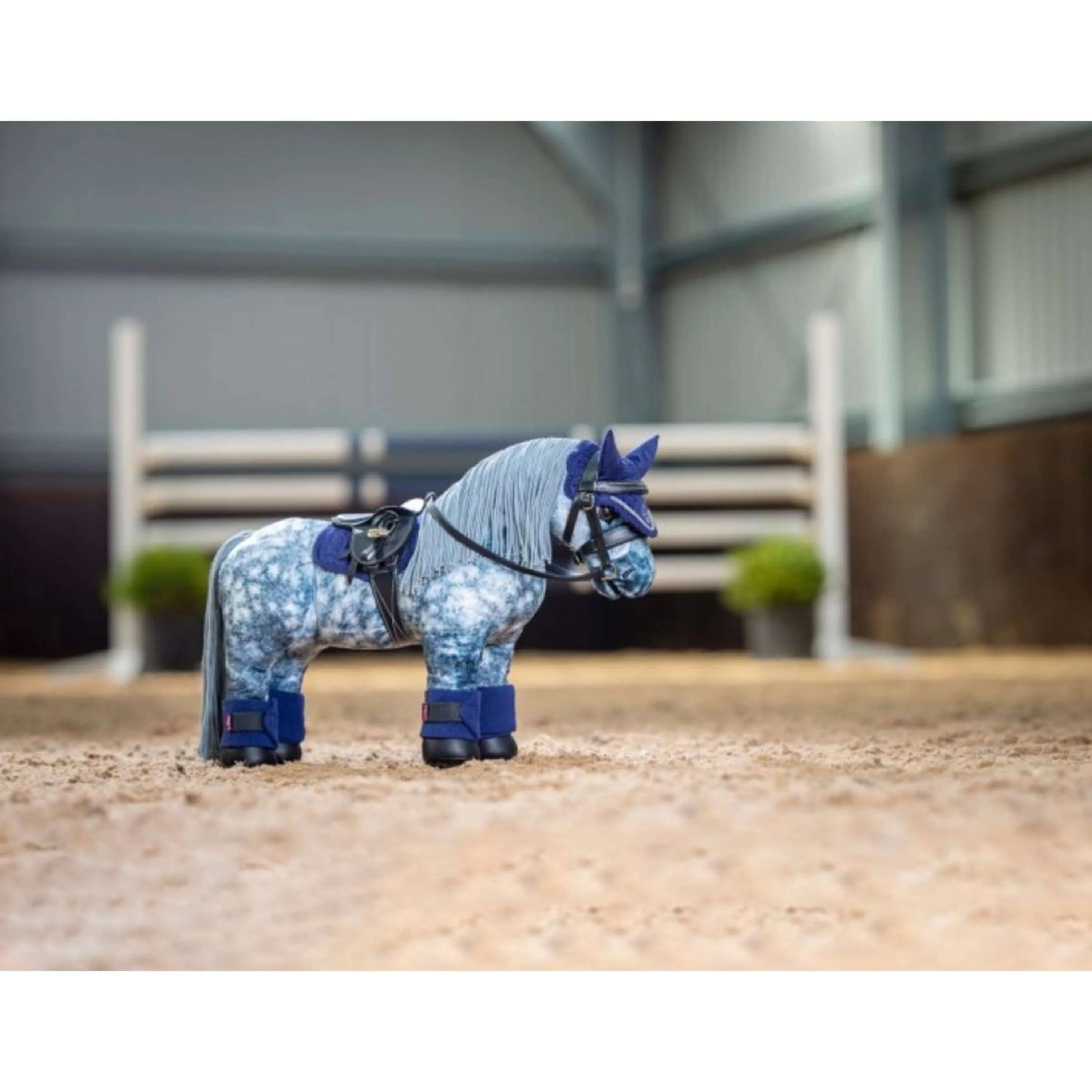 Miniatuur 2